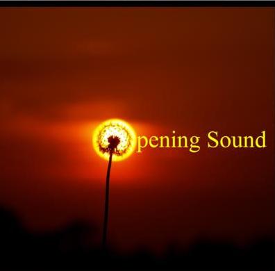 http://www.rockwired.com/openingsoundcd.jpg